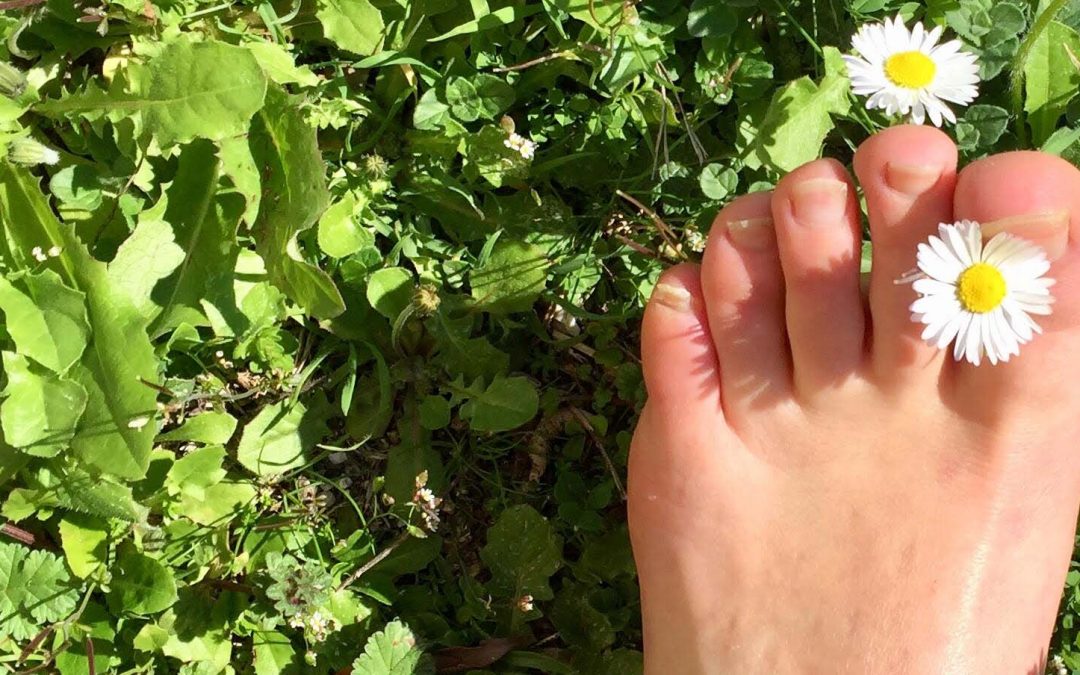 En chemin sous l’impulsion de Laudato Si’